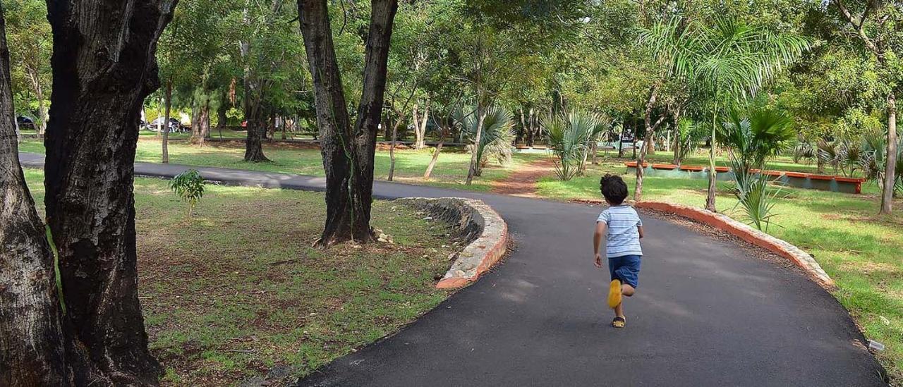 Villa Palmera XVIII Santo Domingo Kültér fotó